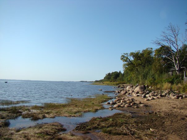 Фонд "Морские Дубки"